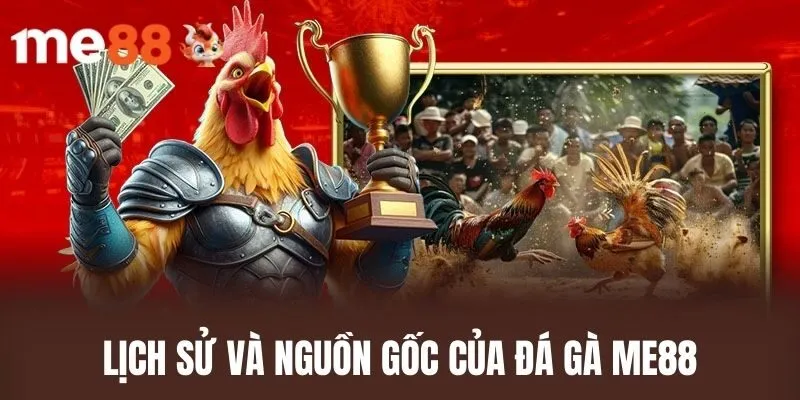 Lịch Sử và Nguồn Gốc Của Đá Gà ME88