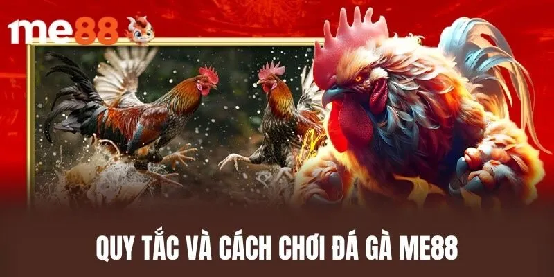 Quy Tắc Và Cách Chơi Đá Gà ME88