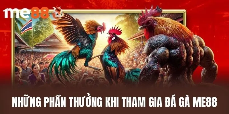 Những Phần Thưởng Khi Tham Gia Đá Gà ME88