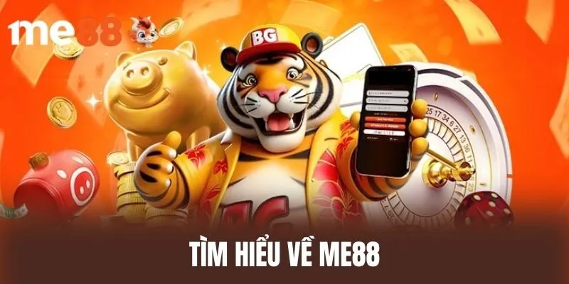 Tìm Hiểu Về ME88