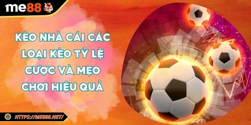 keo-nha-cai-cac-loai